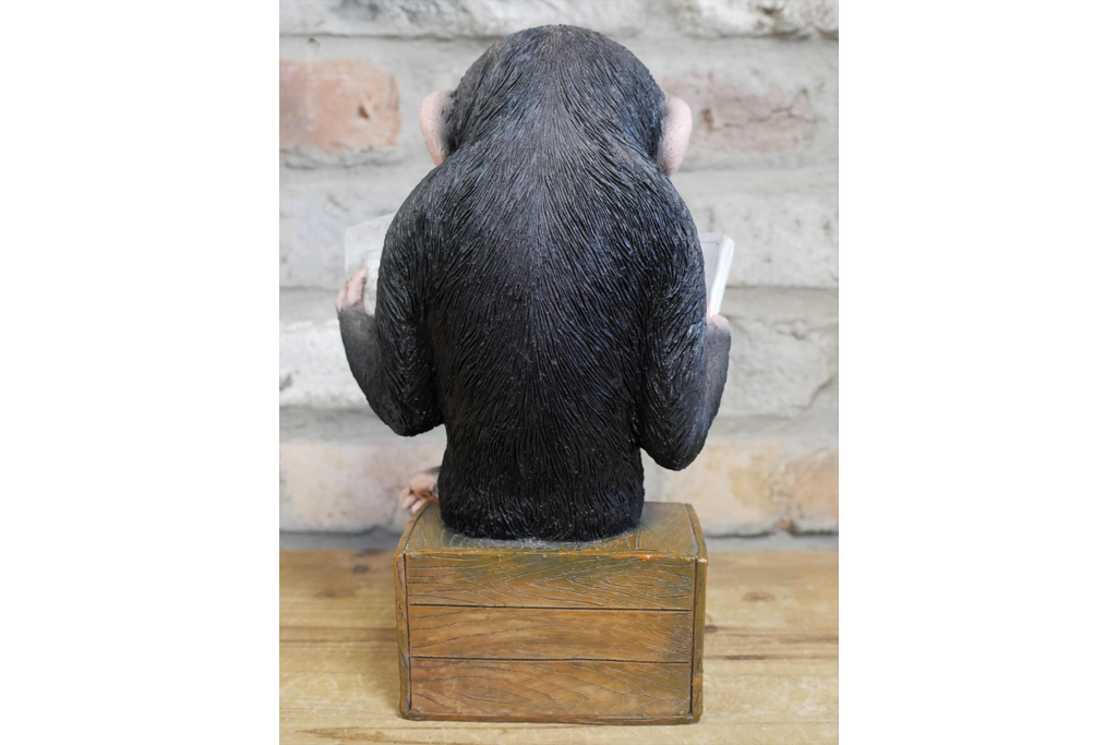 Monkey Reading The News