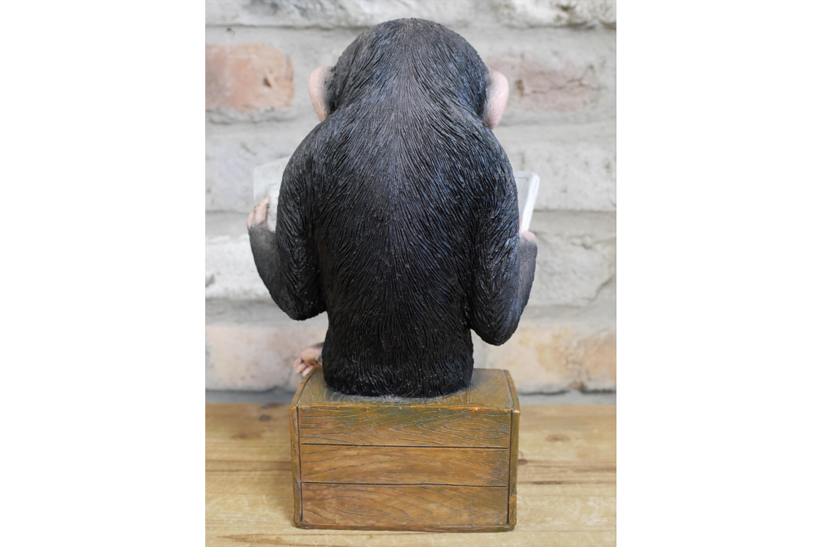 Monkey Reading The News