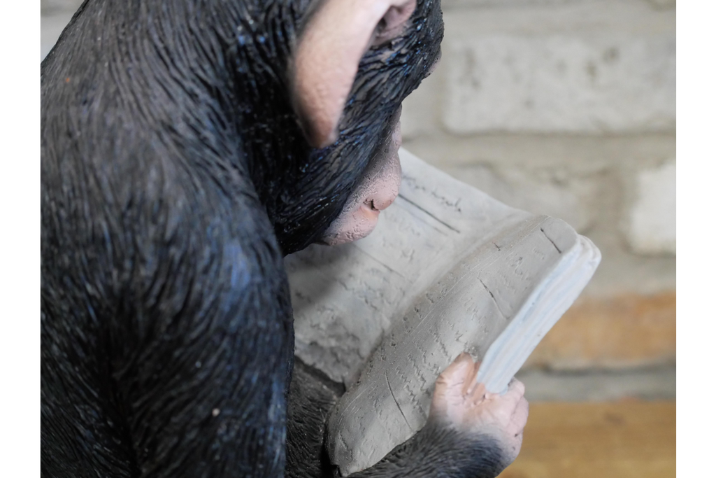 Monkey Reading The News