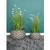 Set Of 2 Planters