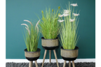 Set Of Three Plant Stands