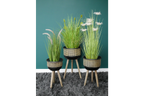 Set Of Three Plant Stands