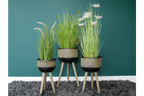 Set Of Three Plant Stands