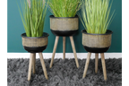 Set Of Three Plant Stands