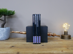 Diving Man Bookends