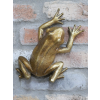 Frog Wall Decoration