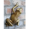 Frog Wall Decoration