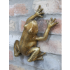 Frog Wall Decoration