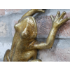 Frog Wall Decoration