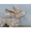 Dog In Wind