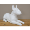 White Dog