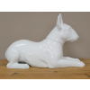 White Dog