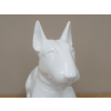 White Dog