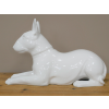 White Dog