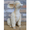 Poodle