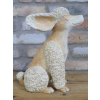 Poodle