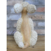 Poodle