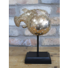 Puffer Fish