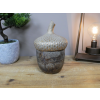 Acorn