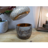 Acorn