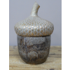 Acorn