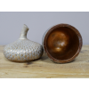 Acorn