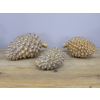 Set Of Three Pinecones