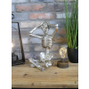 Skeleton