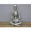 Yoga Skeleton