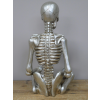 Yoga Skeleton
