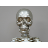 Yoga Skeleton