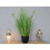 Artificial Grass