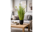 Artificial Grass