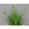 Artificial Grass