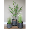 Set Of Three Planters