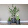 Set Of Three Planters