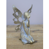 Fairy