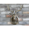 Stag Head