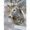 Stag Head