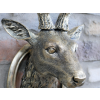 Stag Head