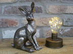 Hare