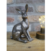 Hare