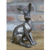 Hare
