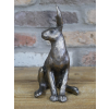 Hare