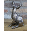 Hare