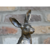 Hare