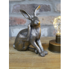 Hare