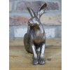 Hare