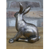 Hare