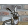 Hare